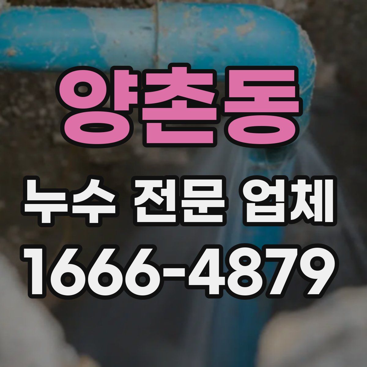 양촌동 누수 전문 업체