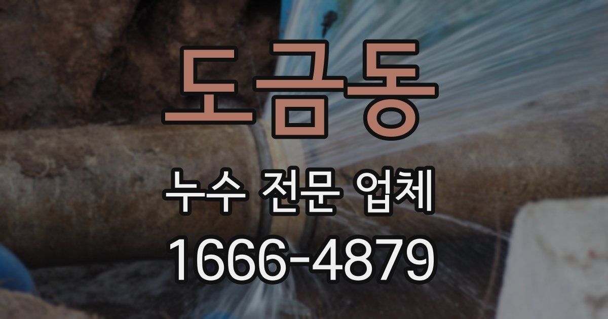 도금동 누수 전문 업체