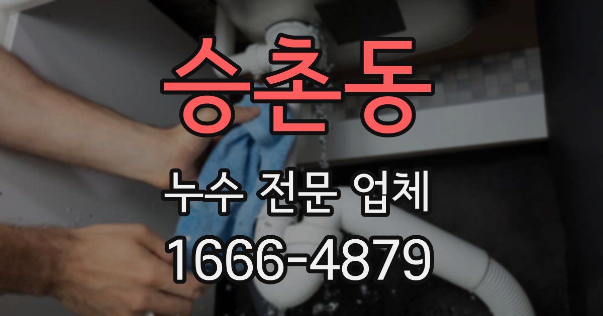승촌동 누수 전문 업체