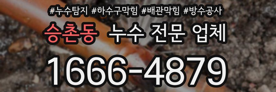승촌동 누수 전문 업체