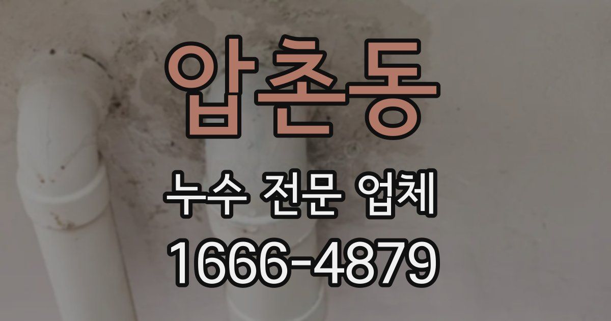압촌동 누수 전문 업체