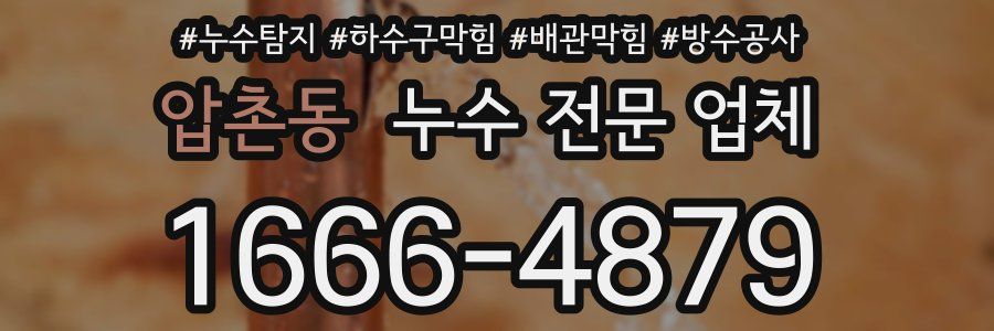 압촌동 누수 전문 업체