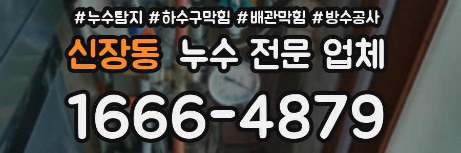 신장동 누수 전문 업체