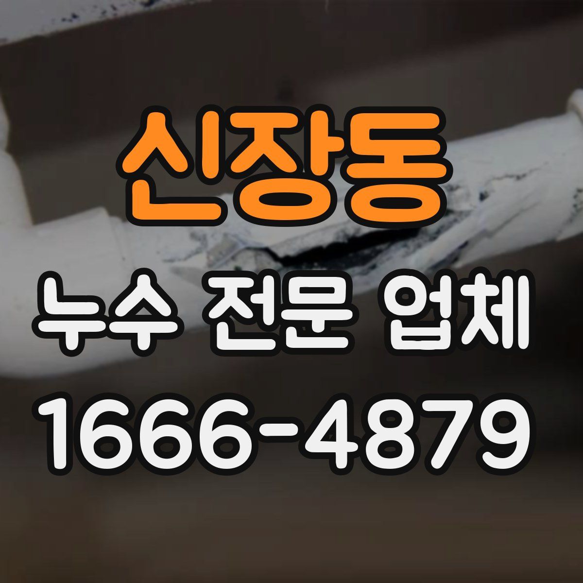 신장동 누수 전문 업체