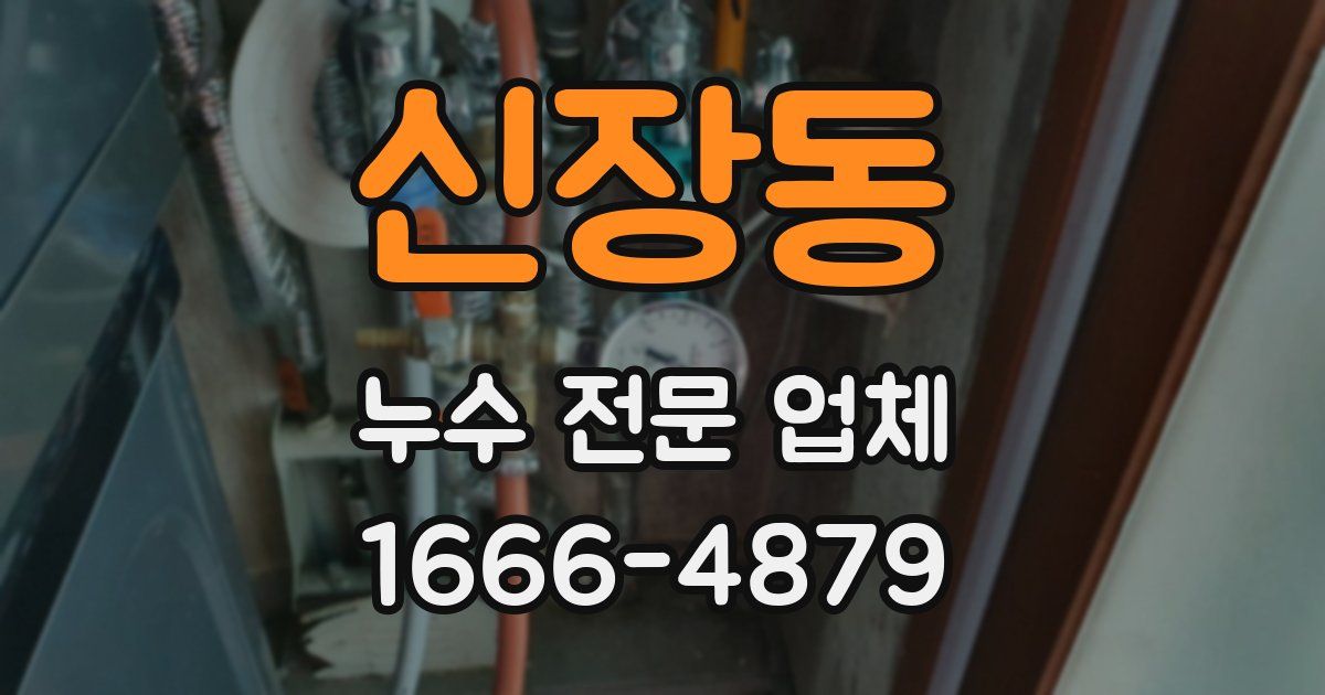 신장동 누수 전문 업체