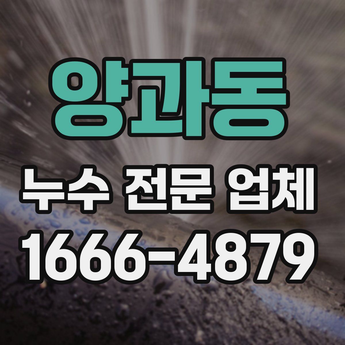 양과동 누수 전문 업체