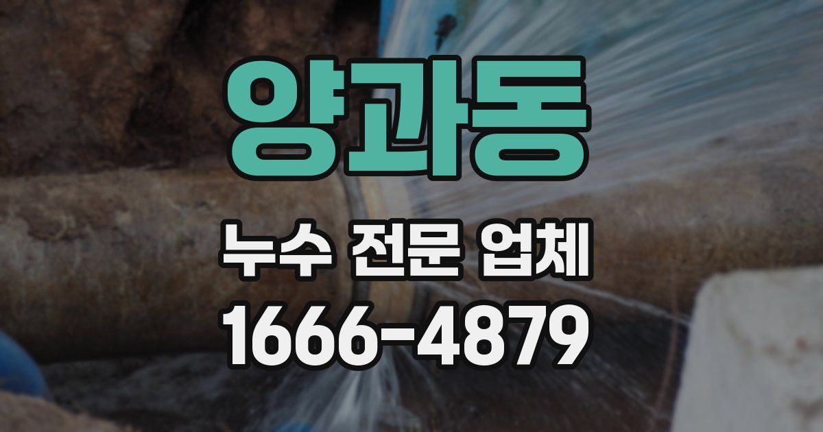 양과동 누수 전문 업체