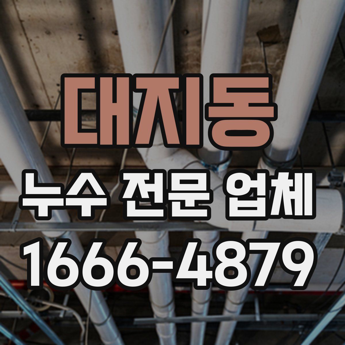 대지동 누수 전문 업체