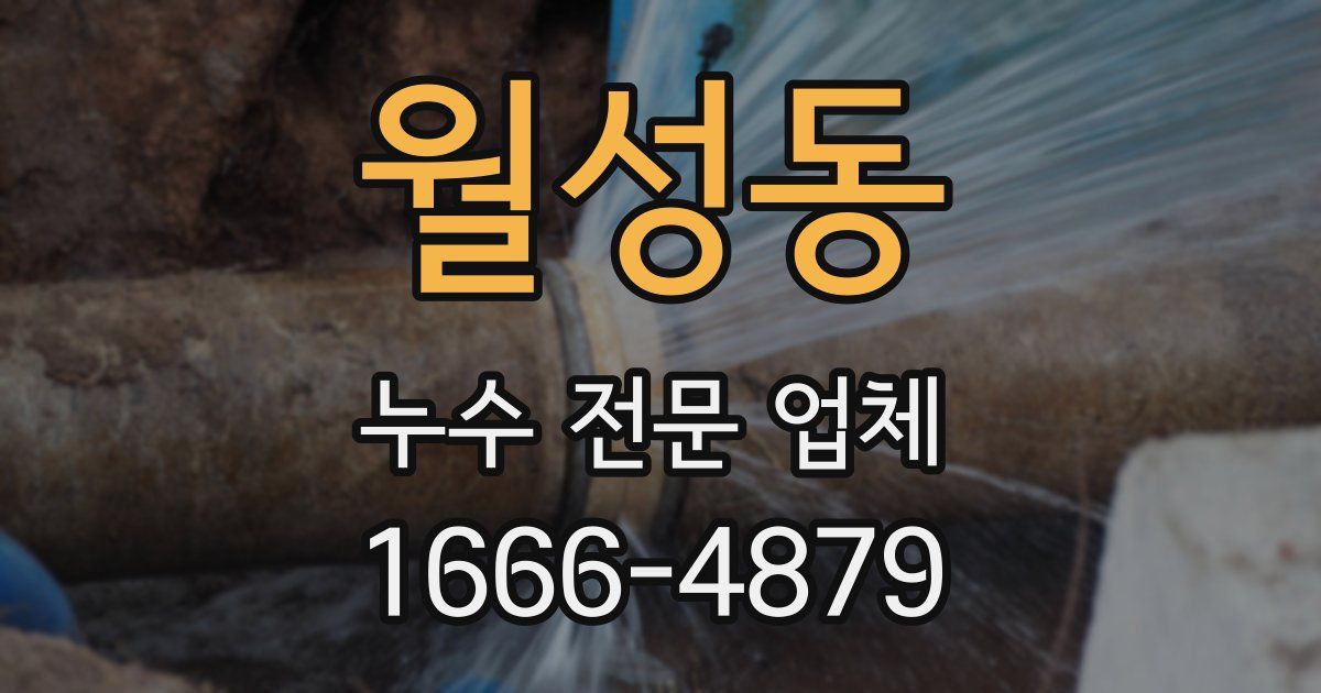 월성동 누수 전문 업체