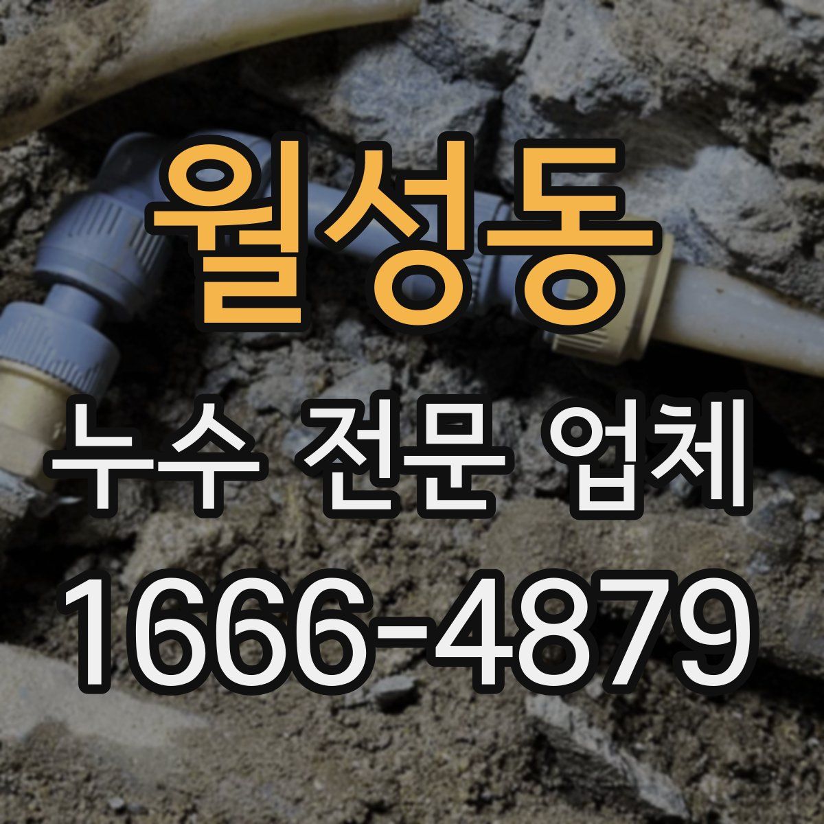 월성동 누수 전문 업체