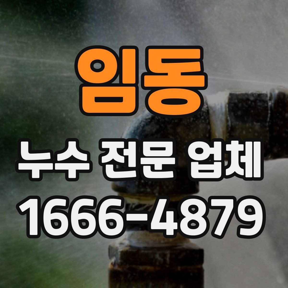 임동 누수 전문 업체
