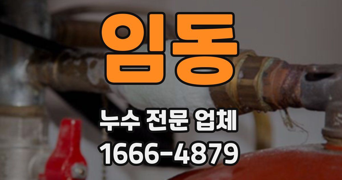 임동 누수 전문 업체