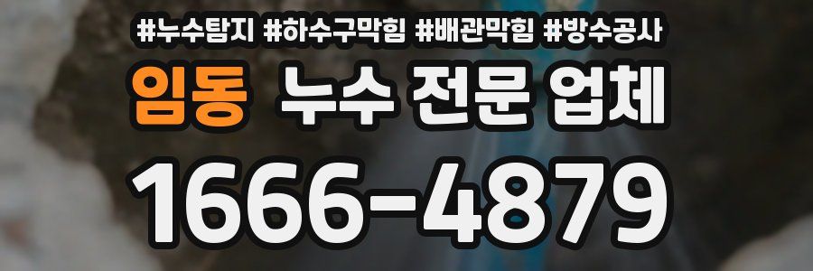 임동 누수 전문 업체
