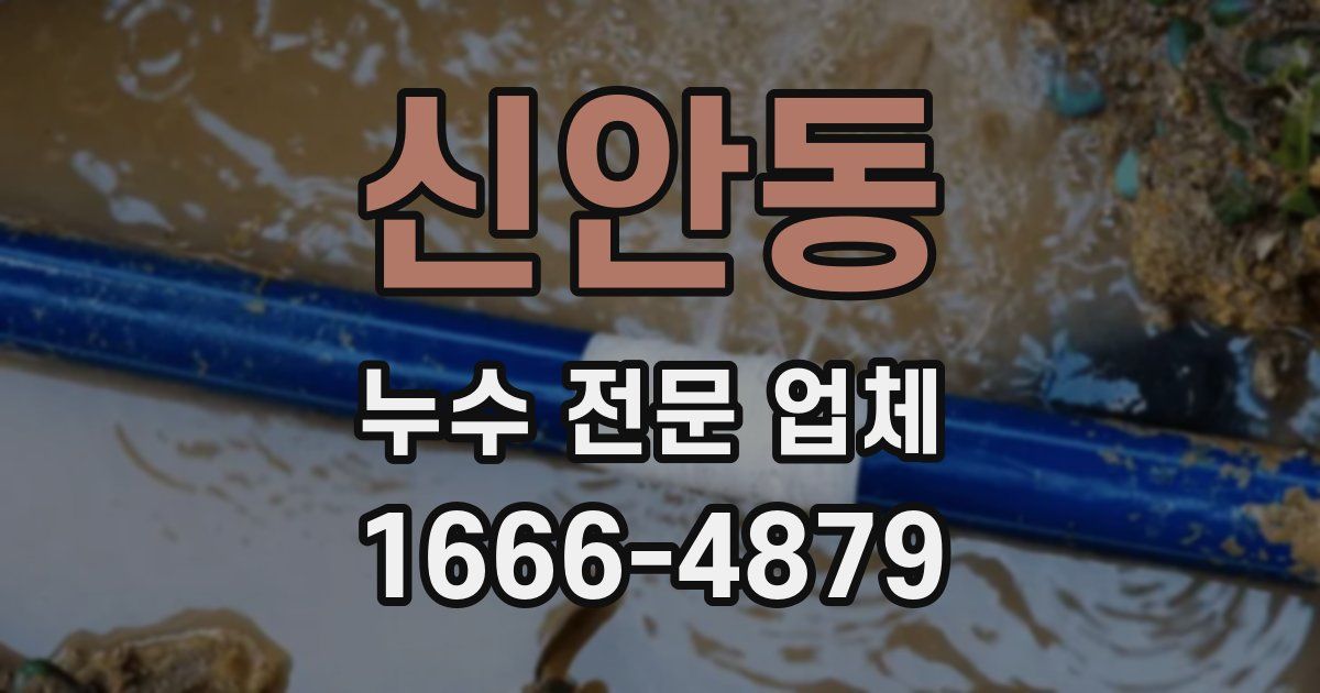 신안동 누수 전문 업체