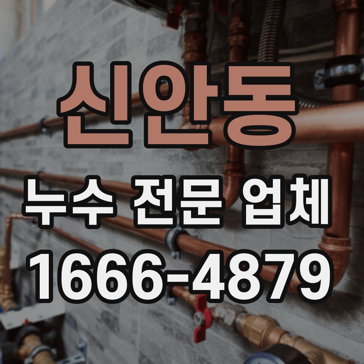 신안동 누수 전문 업체