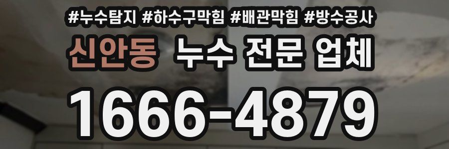 신안동 누수 전문 업체