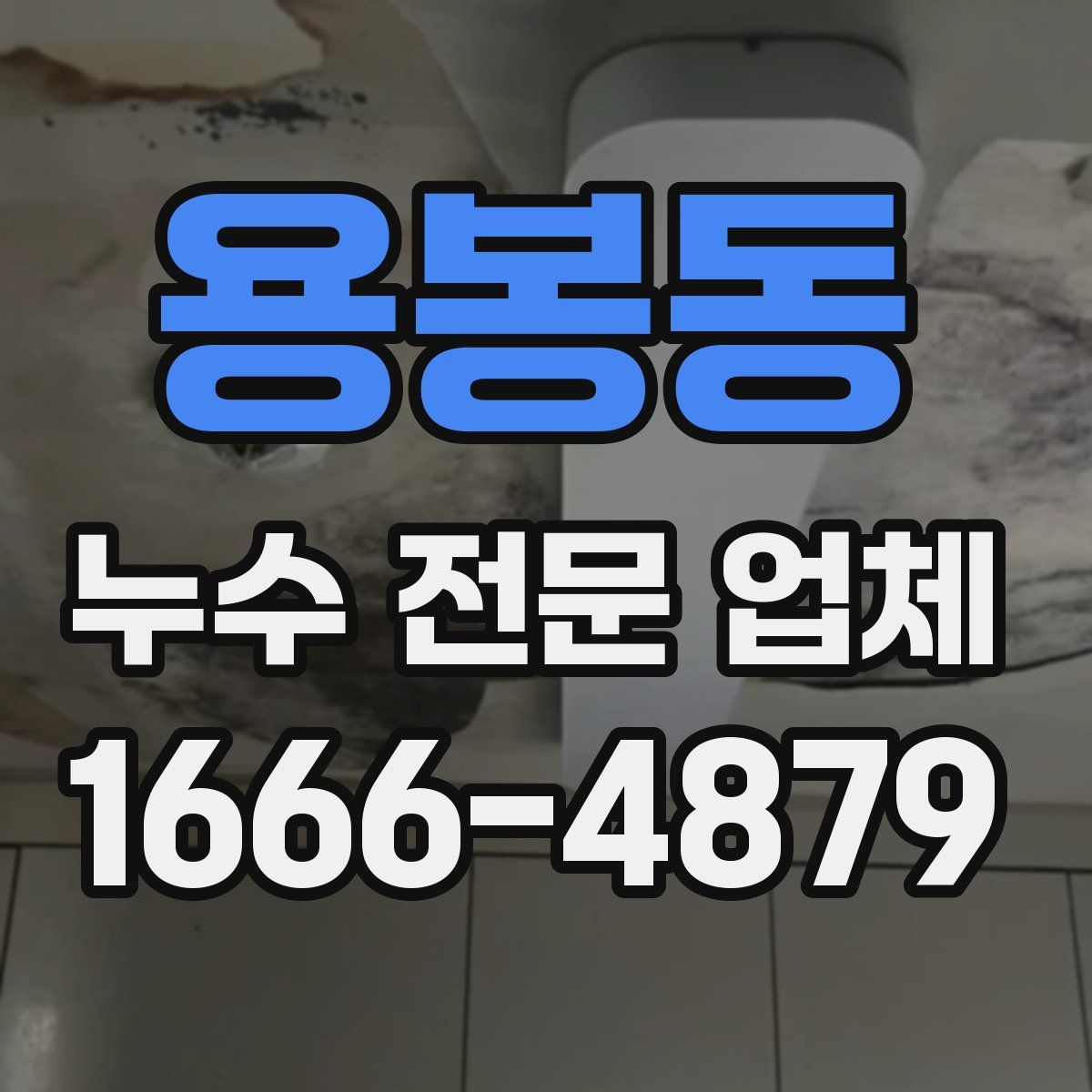 용봉동 누수 전문 업체
