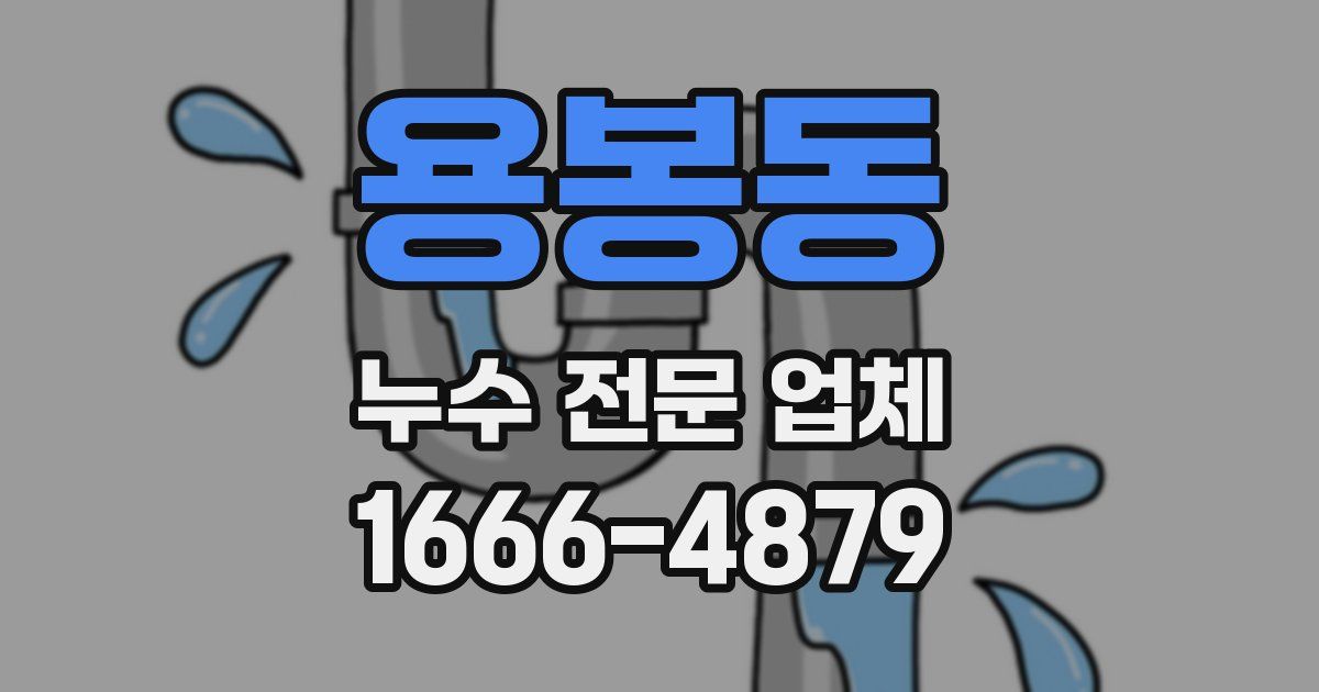 용봉동 누수 전문 업체