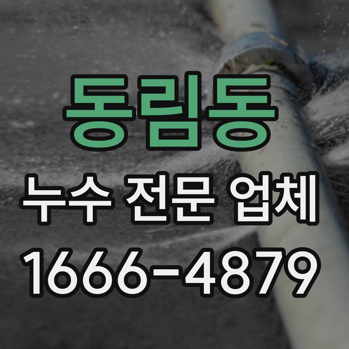 동림동 누수 전문 업체