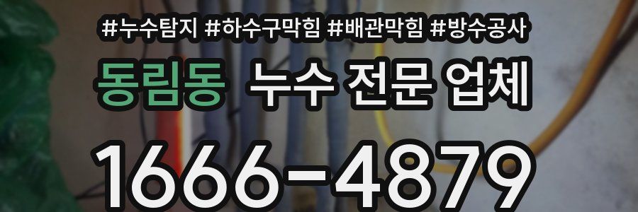 동림동 누수 전문 업체