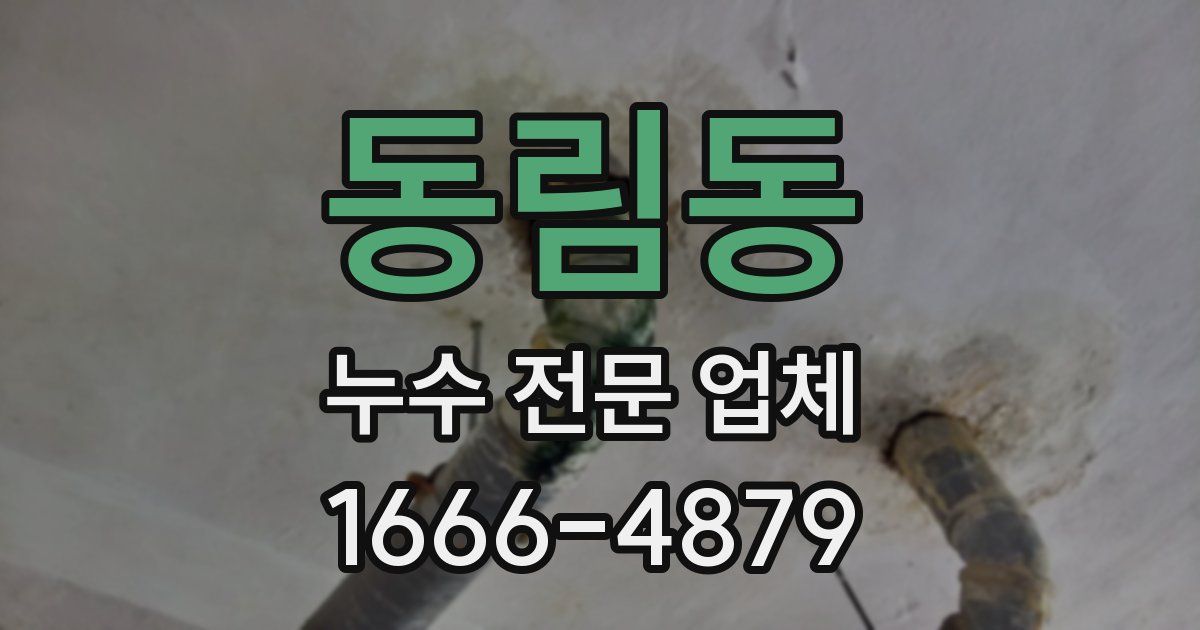 동림동 누수 전문 업체