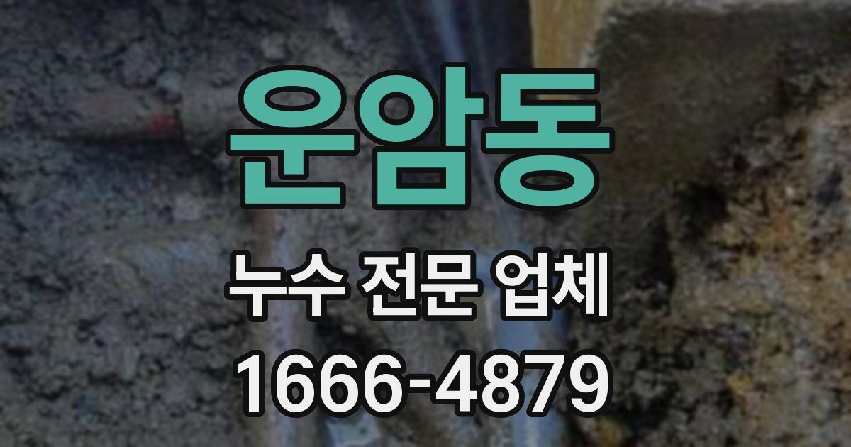 운암동 누수 전문 업체