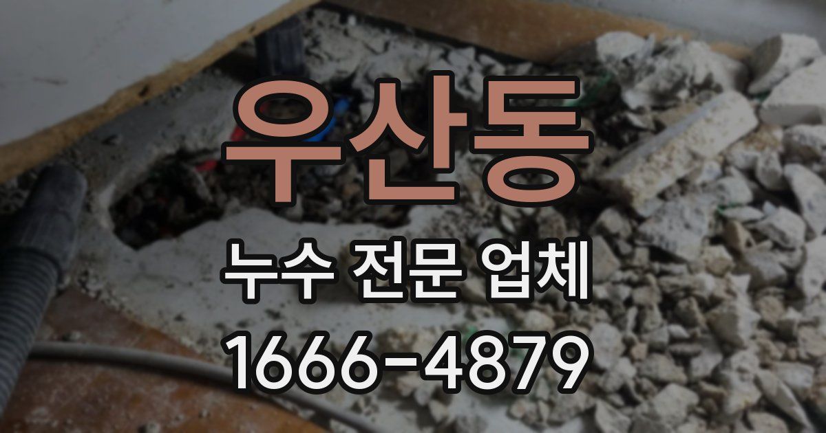 우산동 누수 전문 업체