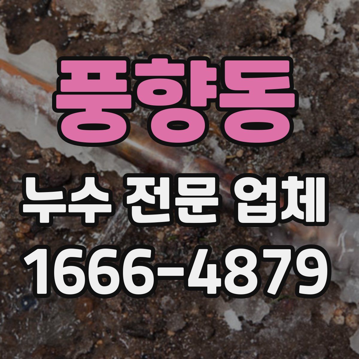 풍향동 누수 전문 업체