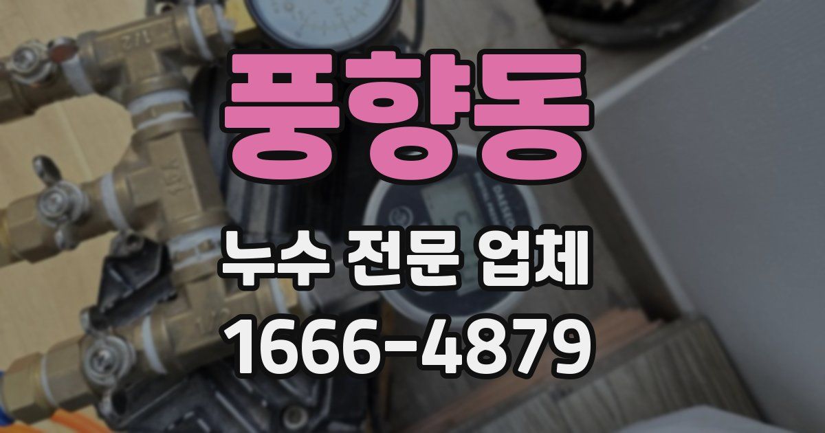 풍향동 누수 전문 업체
