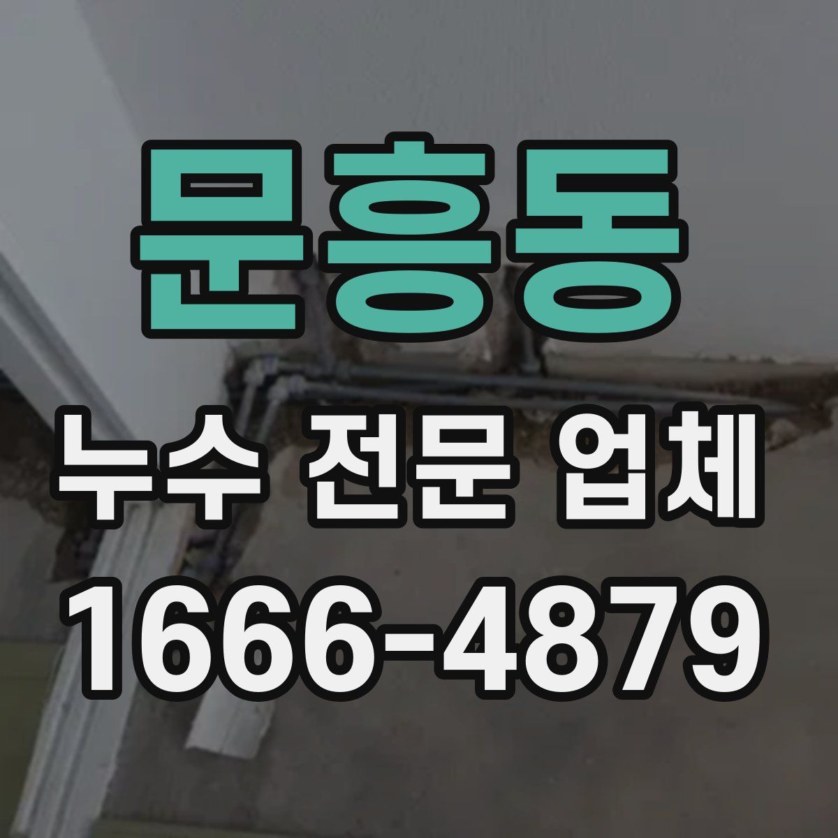 문흥동 누수 전문 업체