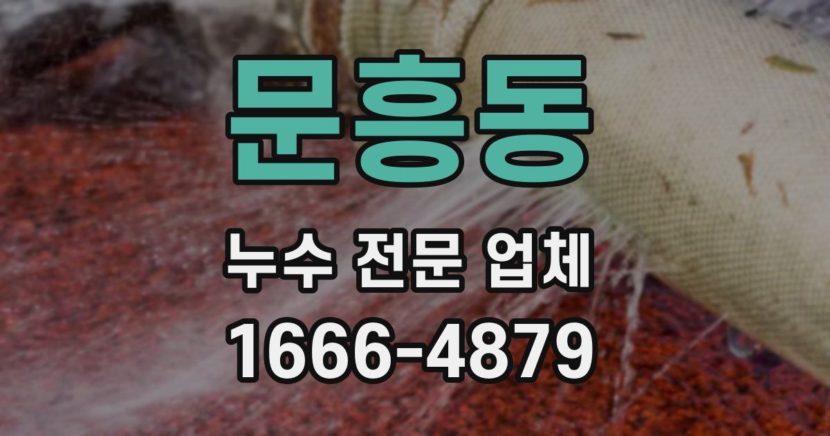문흥동 누수 전문 업체