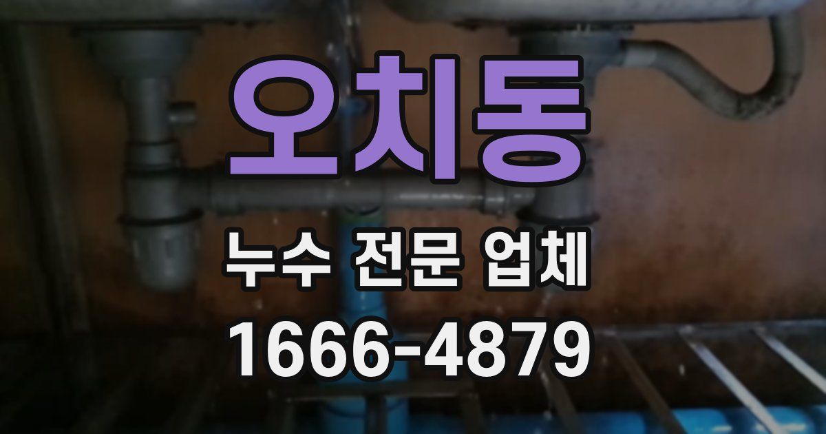 오치동 누수 전문 업체