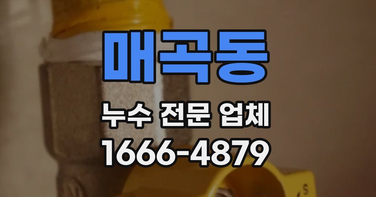 매곡동 누수 전문 업체