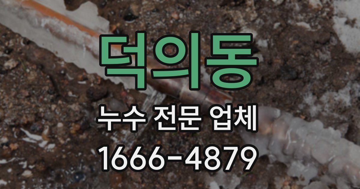 덕의동 누수 전문 업체
