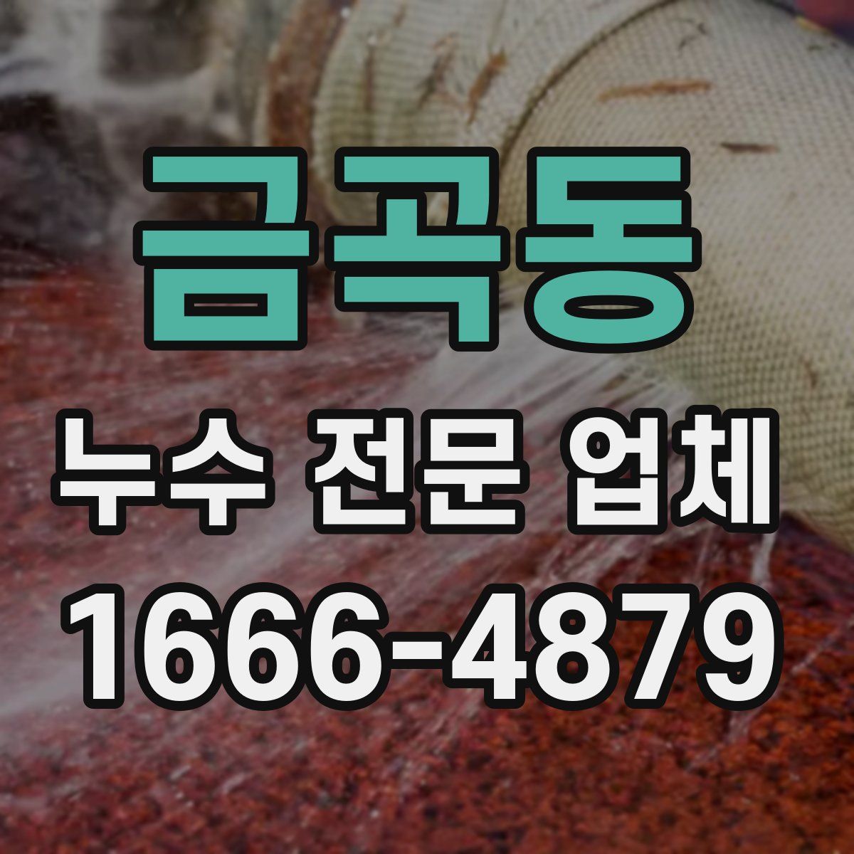 금곡동 누수 전문 업체
