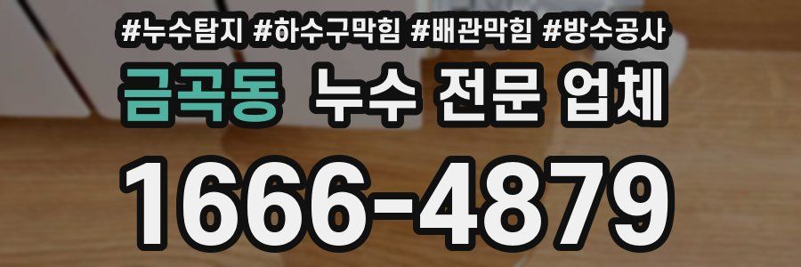 금곡동 누수 전문 업체