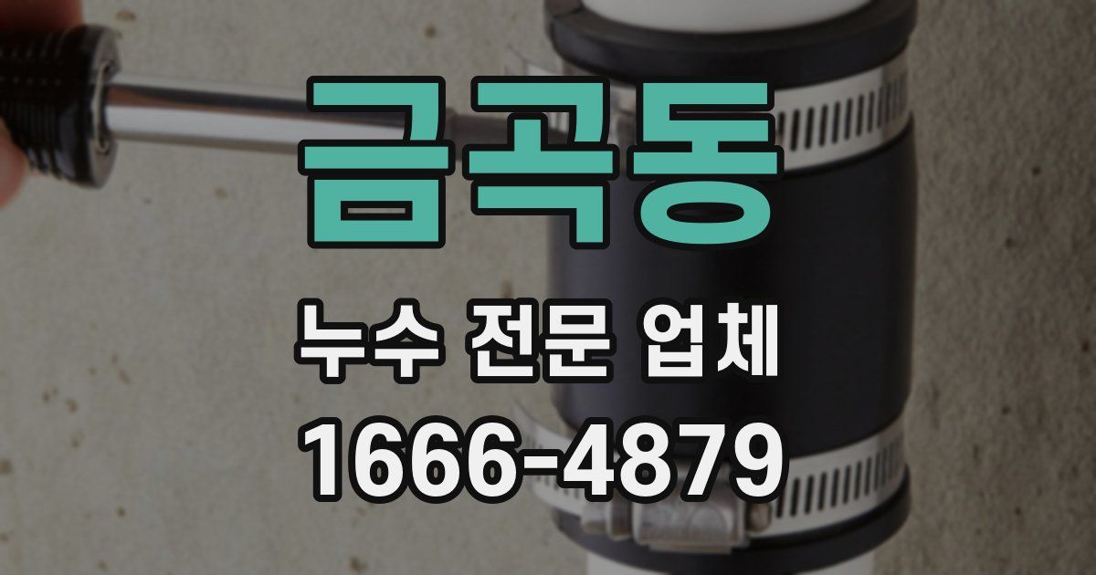 금곡동 누수 전문 업체