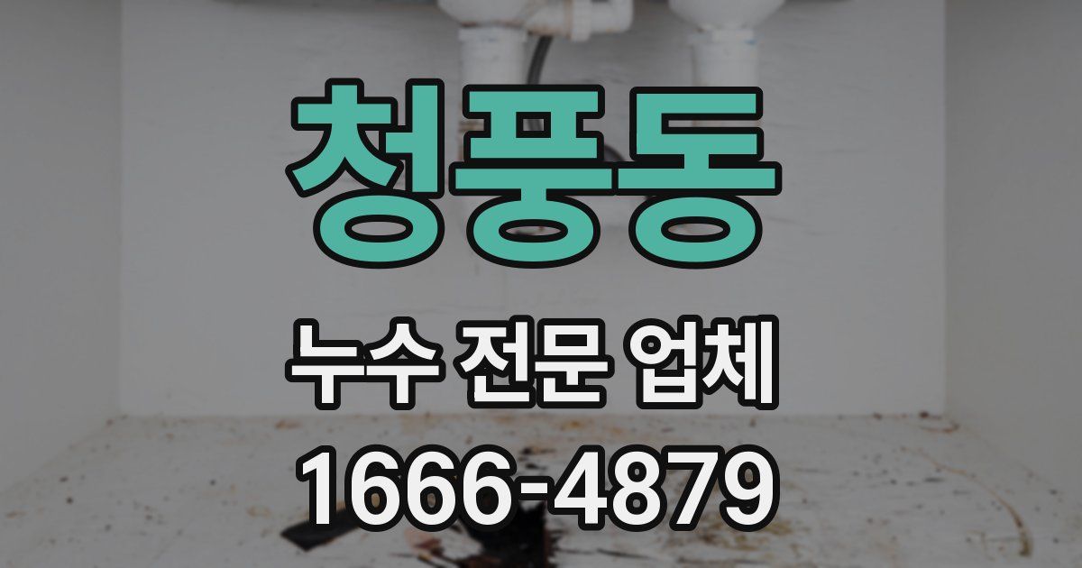 청풍동 누수 전문 업체