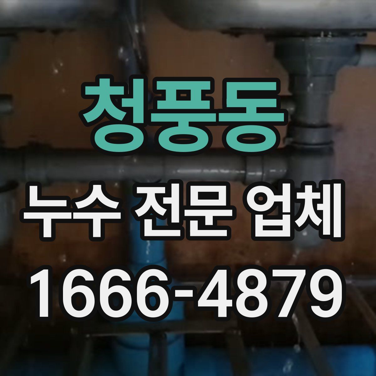 청풍동 누수 전문 업체