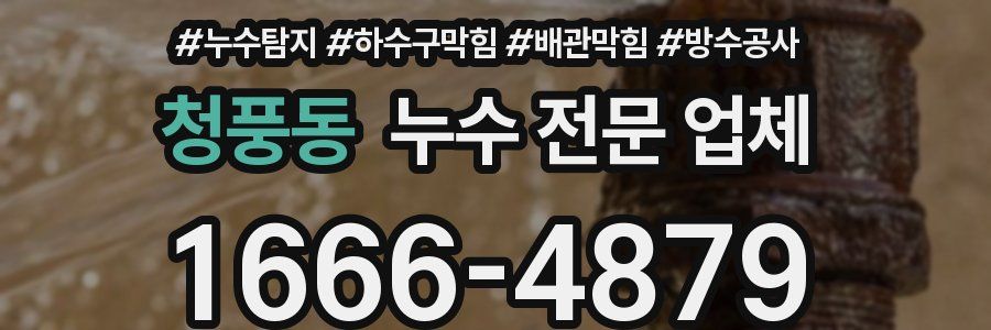 청풍동 누수 전문 업체