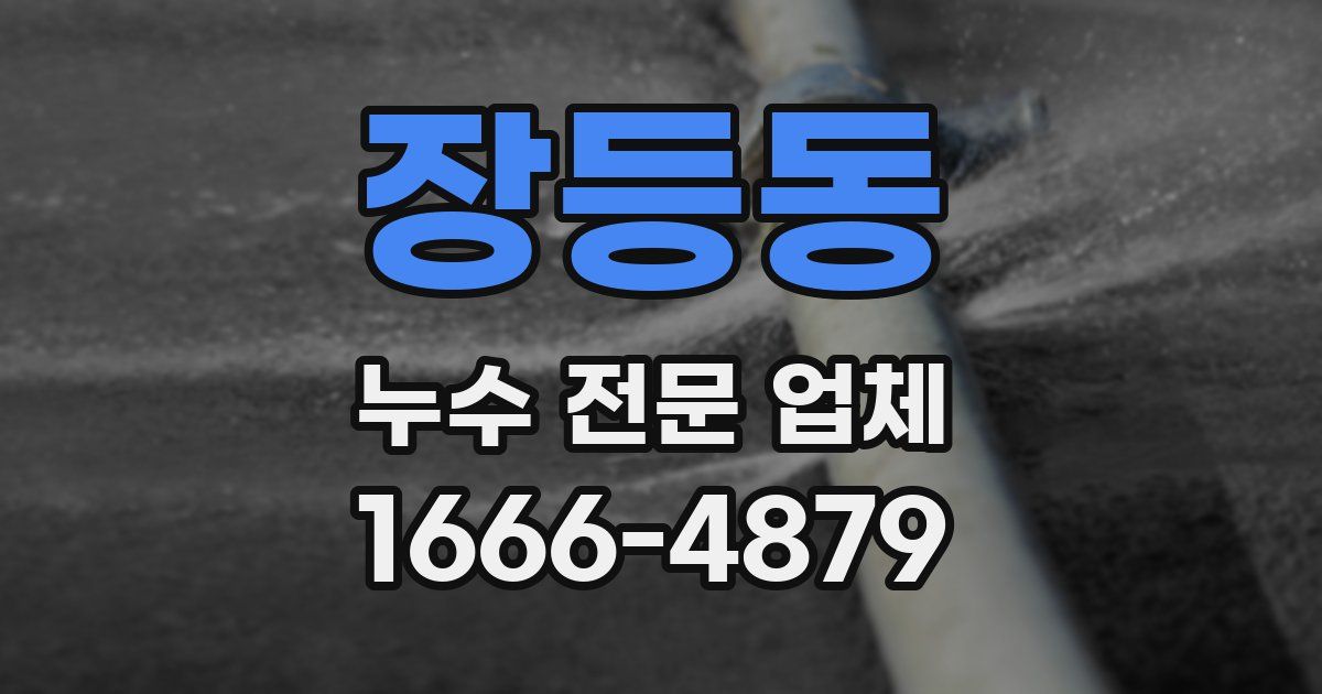 장등동 누수 전문 업체