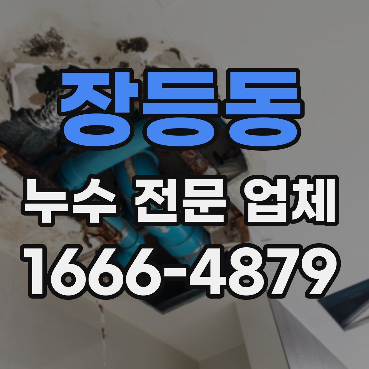 장등동 누수 전문 업체