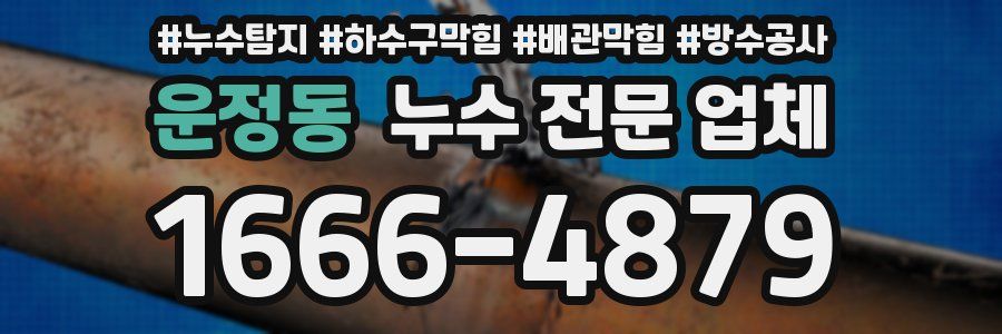 운정동 누수 전문 업체
