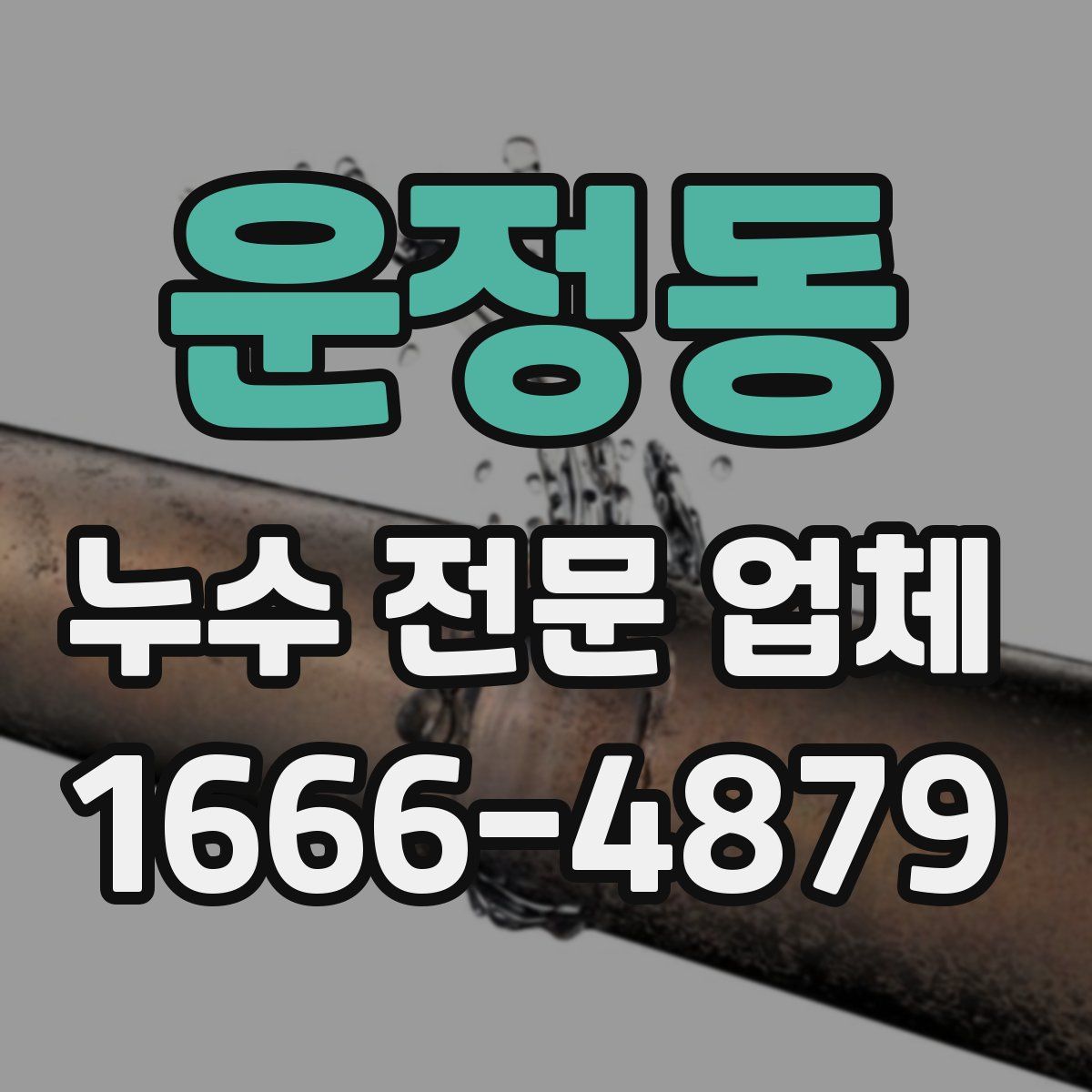 운정동 누수 전문 업체