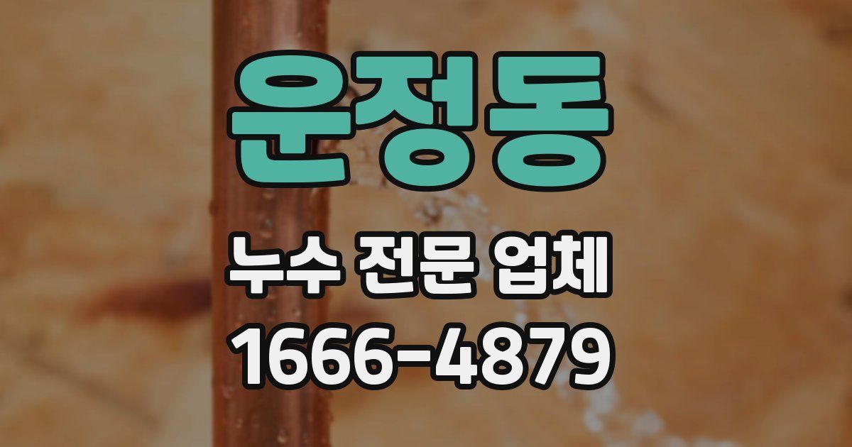 운정동 누수 전문 업체