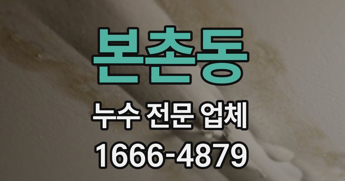 본촌동 누수 전문 업체