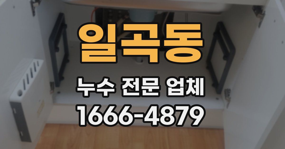 일곡동 누수 전문 업체