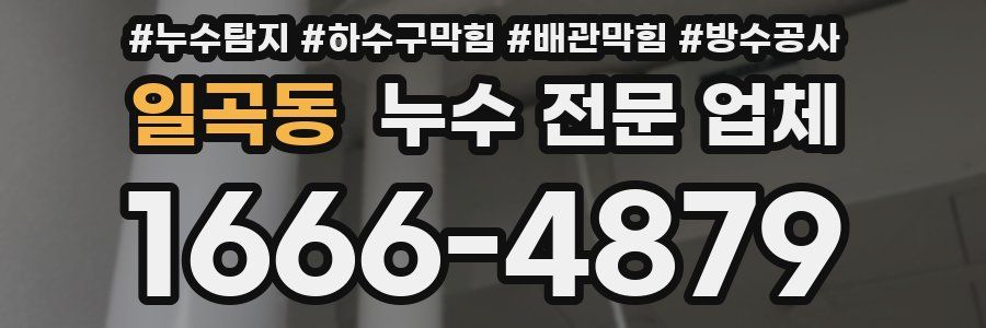 일곡동 누수 전문 업체