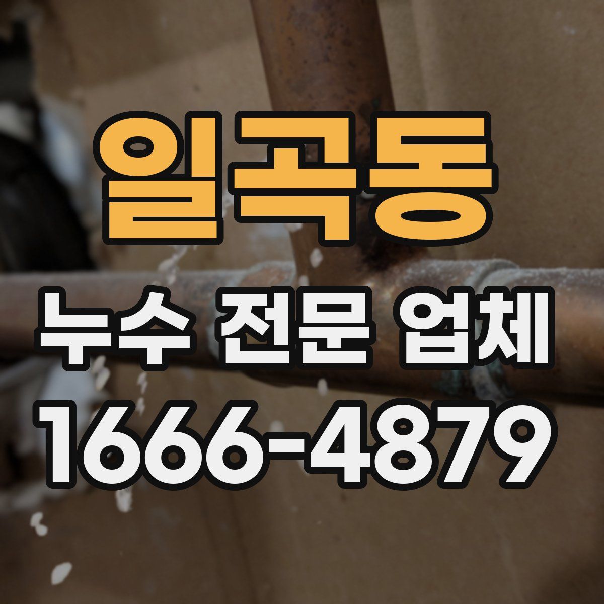 일곡동 누수 전문 업체