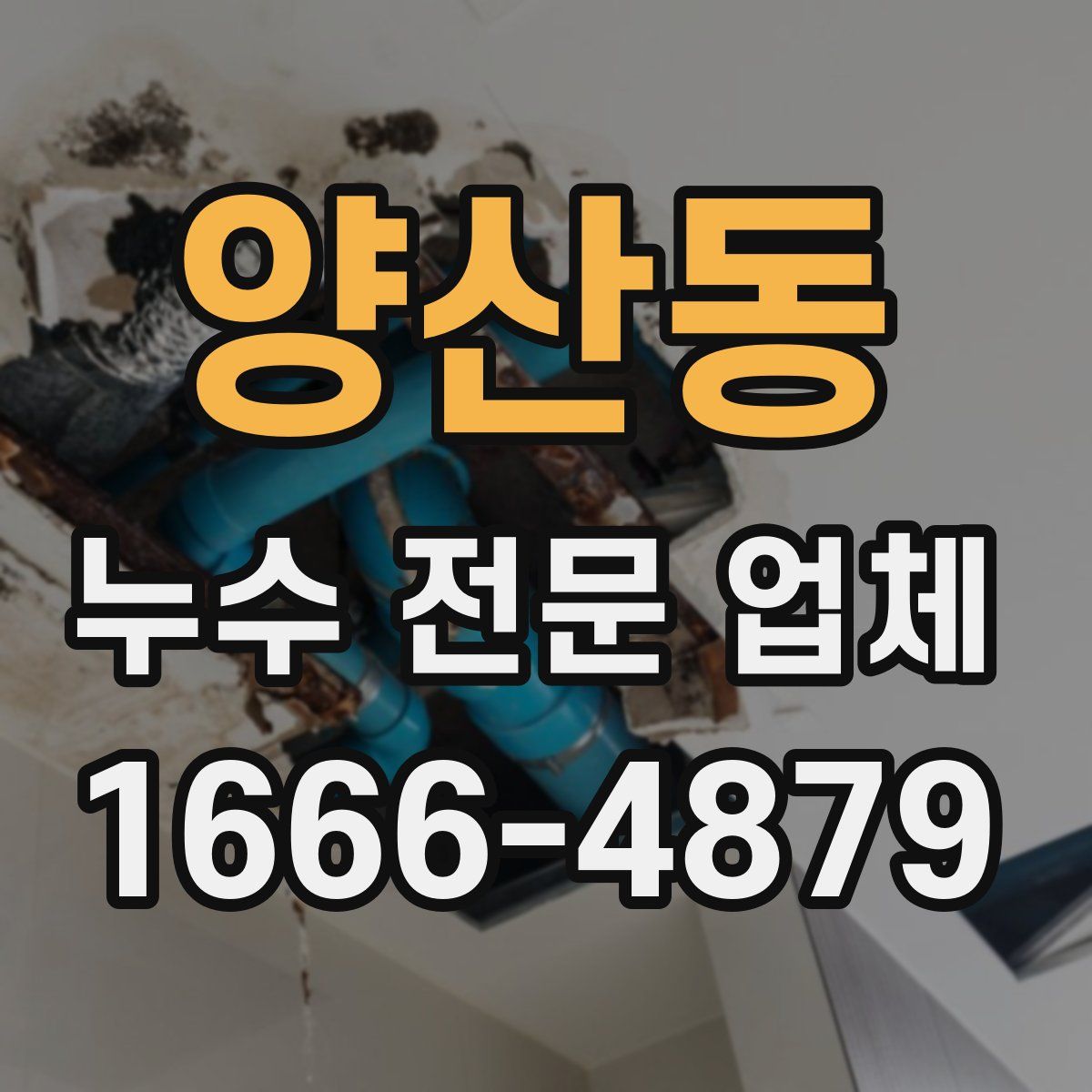 양산동 누수 전문 업체